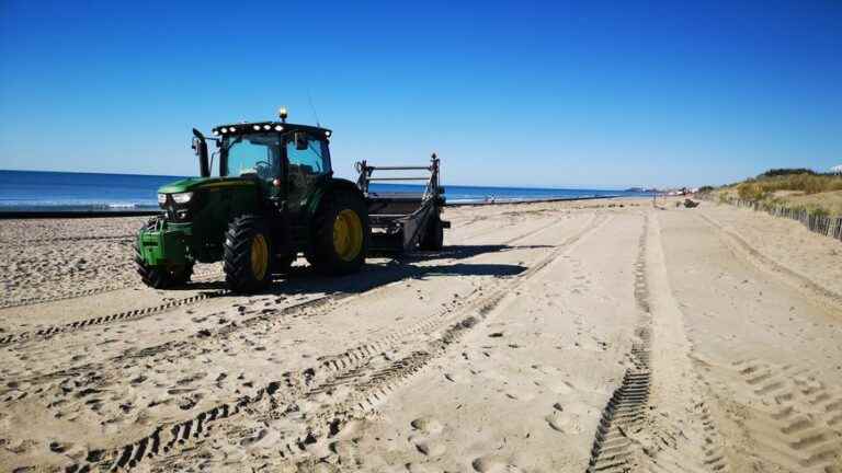 Should we continue to clean the beaches mechanically in the Hérault?