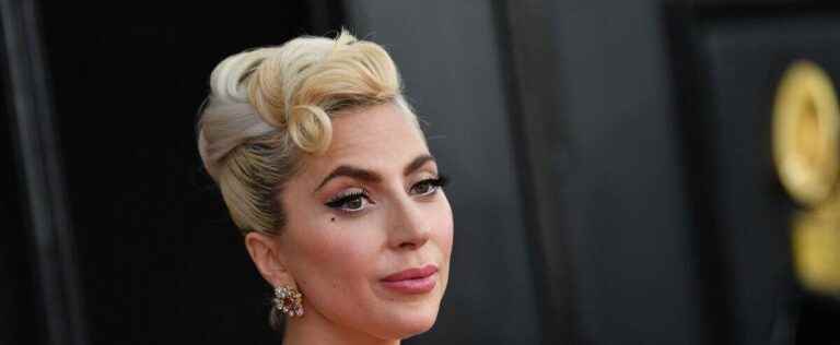 Six years in prison for a second kidnapper of Lady Gaga’s dogs