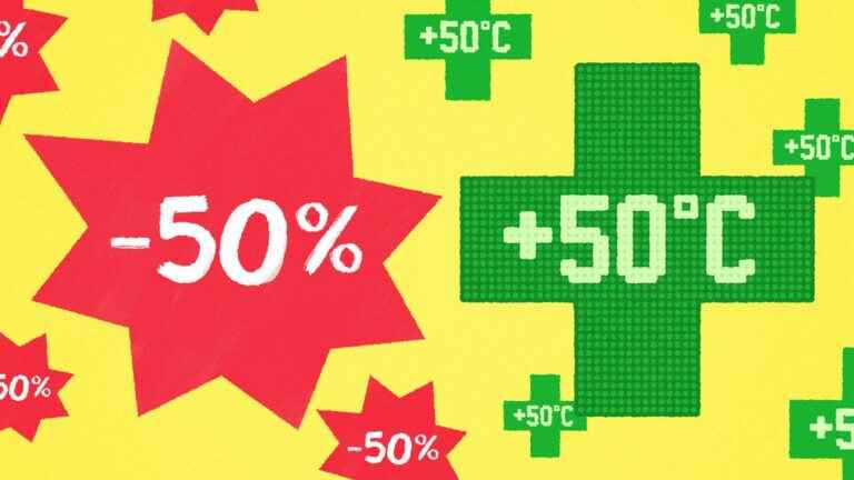 Sobriety or purchasing power?  These contradictory injunctions that prevent us from meeting the challenges of climate and energy