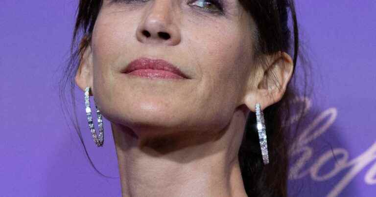 Sophie Marceau as a couple: new revelations about her “delicious” man and “many female successes”