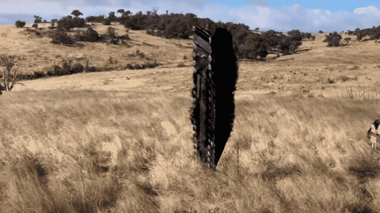 SpaceX debris discovered in sheep pen