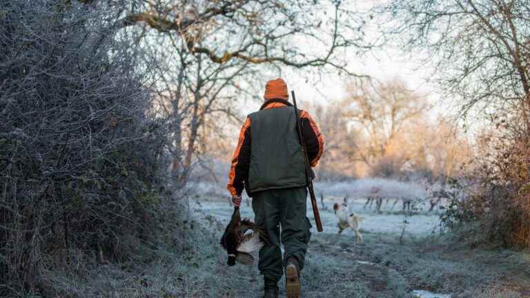 Subsidies granted to the National Federation of Hunters have fallen from 27,000 to 6.3 million euros in less than five years