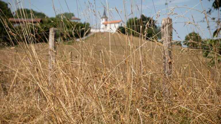 Summer 2022, the hottest ever recorded in the Basque Country, but not the driest