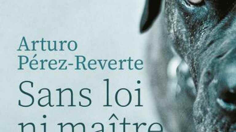 Summer crop.  “Without law or master” by Arturo Pérez-Reverte, a noir novel whose main characters are dogs