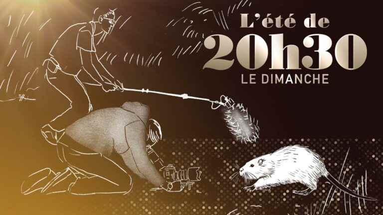 “Summer from 8:30 p.m. on Sundays”.  The “Cinecittà” of animals – France 2 – August 21, 2022