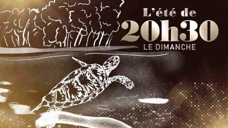 “Summer from 8:30 p.m. on Sundays”.  The turtle lover – France 2 – August 7, 2022