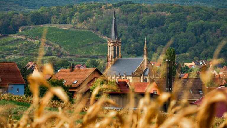 Sundgau Sud Alsace Tourist Office summer program