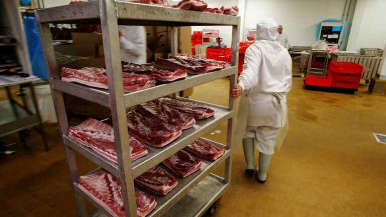 Surveillance cameras made compulsory in all slaughterhouses in Spain