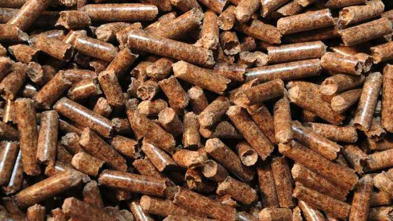 Tensions in the wood pellet market