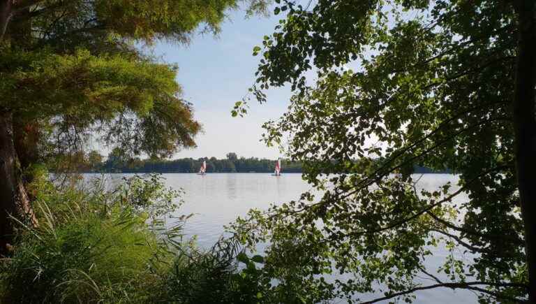 Terres des Landes: Soustons city nature(s)