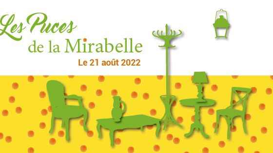 The 2022 Mirabelle plum flea market, what you need to know!