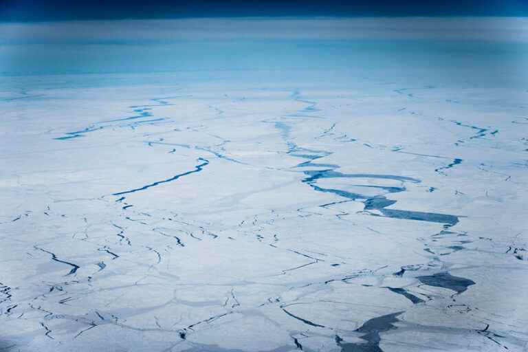 The Arctic, a veritable laboratory in summer