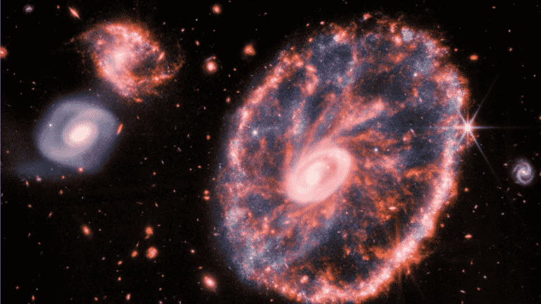 The James Webb Telescope Reveals an Unprecedentedly Accurate Image of the Cartwheel Galaxy