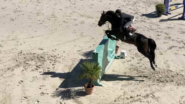 The Normandy Horse Show ends with a Mancho victory in Saint-Lô with Julien Epaillard