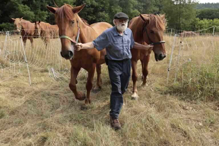 The Press in Vermont |  Human urine turned into fertilizer