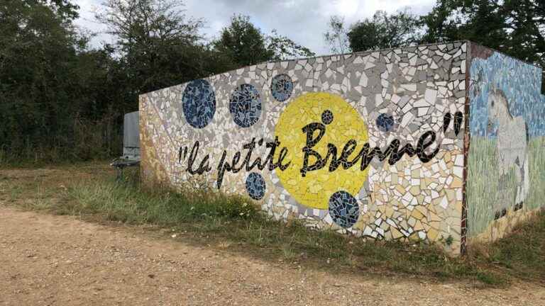 The philosophy of naturism cultivated in Berry at the Petite Brenne campsite