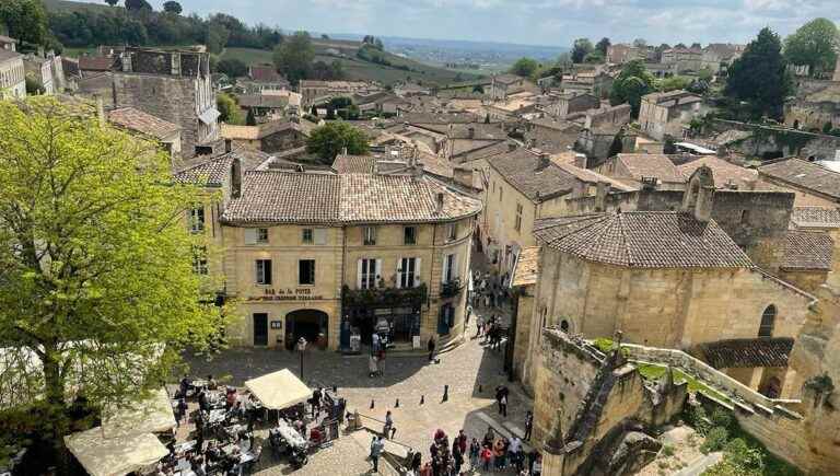 The vineyard of Saint Emilion