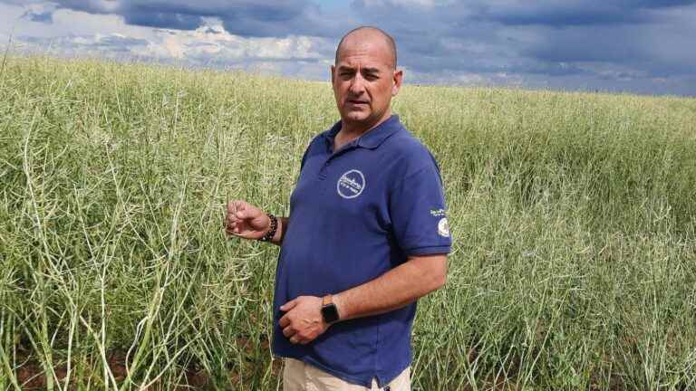 They made the news.  David Vallée, cereal farmer who lost almost his entire crop to hail