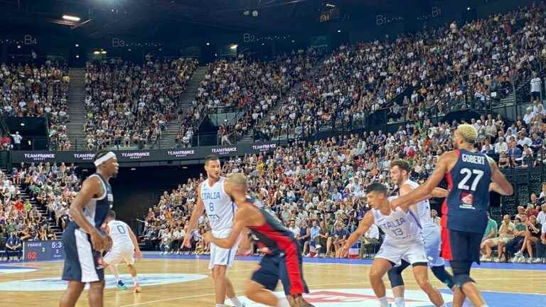 “Too good to be there!”, the Blues supporters delighted at the Montpellier Arena