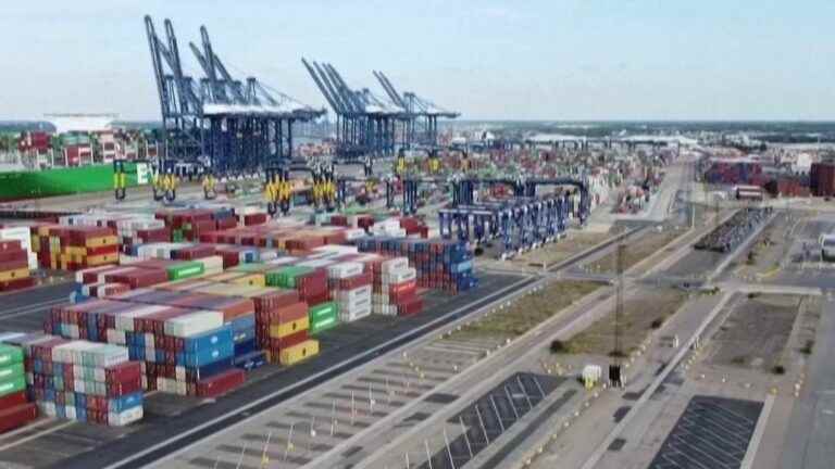 UK’s main cargo port shut down with dockers’ strike