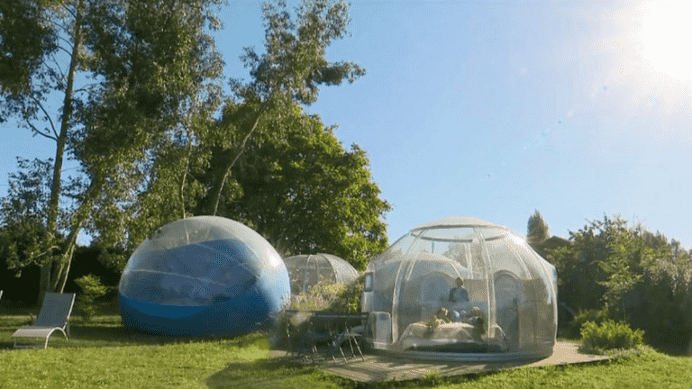 Unusual accommodation: bubbles open to the sky for a starry night