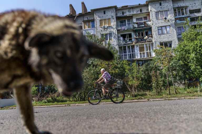 War in Ukraine |  Elderly cyclists on the handlebars despite the violence