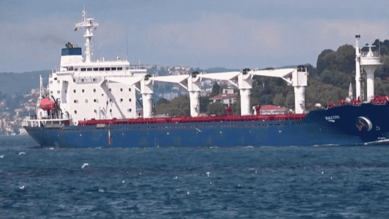 War in Ukraine: the first grain cargo ship from Odessa disappeared from radar