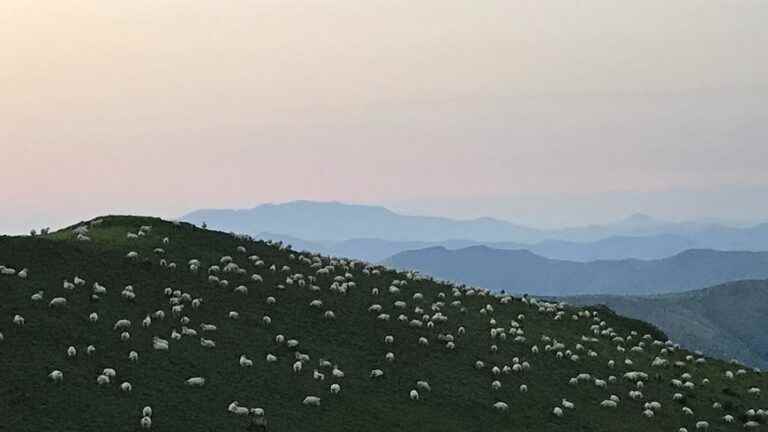 Your hiking guides in the Basque Country