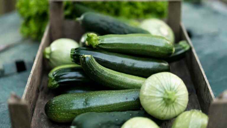 Zucchini from “L’Heure des Mets” in St Chamond and Rive de Giers