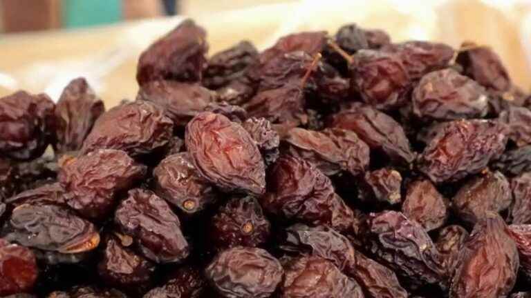 a good season for Agen prunes