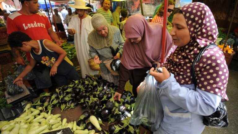 ban on the manufacture of plastic bags from September 1