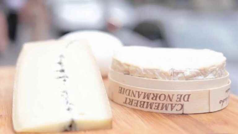 camembert loses share on the cheese market