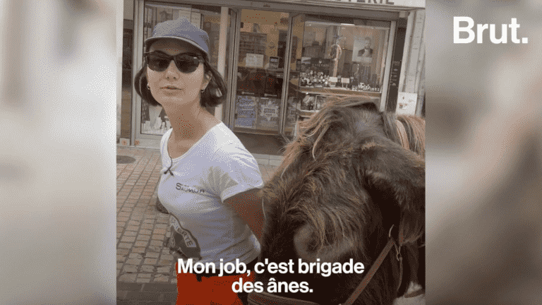 collect waste from Saumur with a donkey