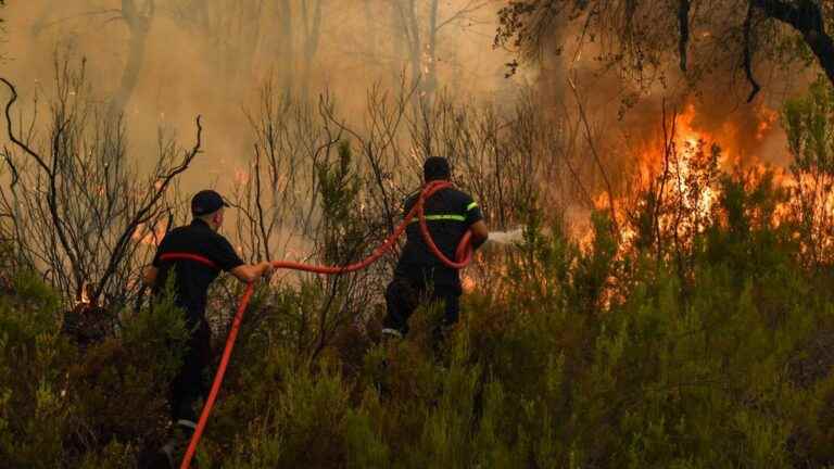 death of three firefighters in a forest fire, the privileged criminal track