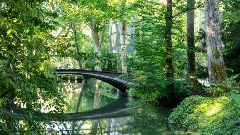 discover in Amboise, around the castle of Clos Lucé, the Leonardo Da Vinci park!