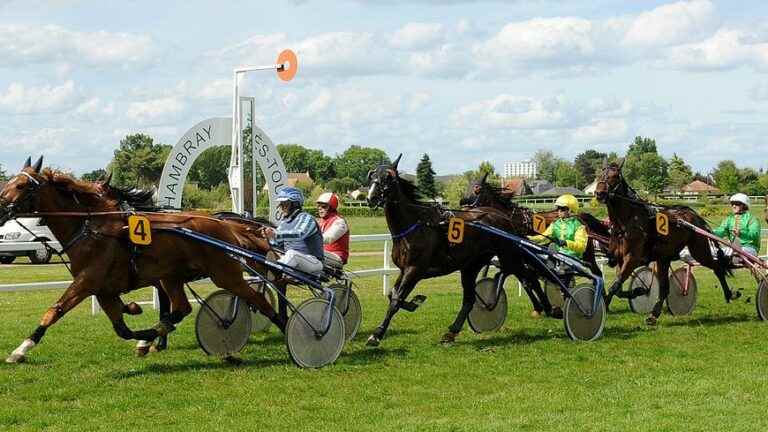 eight trotting races on the program this Sunday, September 4 at the racecourse