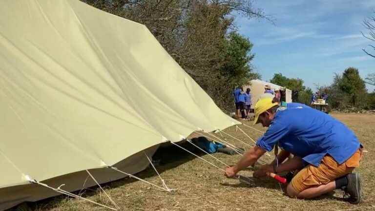 how do scouts adapt to the drought?