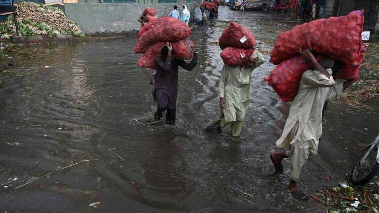 in Pakistan, the health consequences of the floods worry the doctors