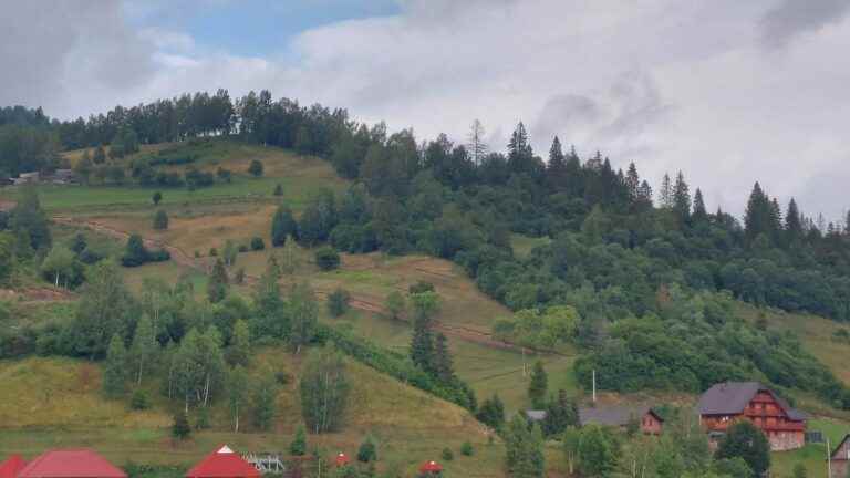 in the Carpathians, Ukrainian children “no longer think about war” during a summer camp