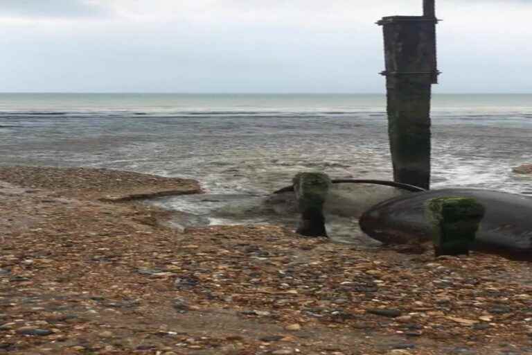 is the English Channel the chamber pot of our British neighbours?