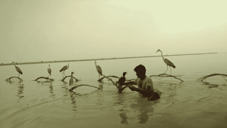 meeting with the Mohanas, the “bird people”