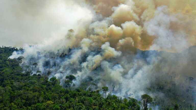 more than 3,000 fires ravage the Amazon, a record for 15 years