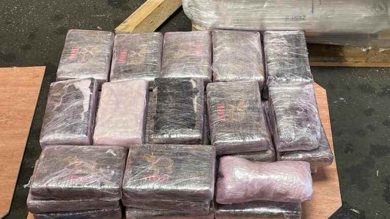 more than 520 kg of cocaine seized in a moving container