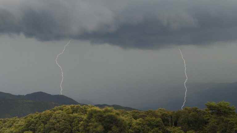 one dead and one seriously injured in a campsite in Sagone, victims of a falling tree