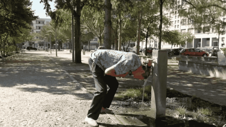 organisms tired by heat waves