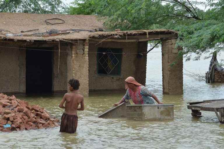 pakistan |  Over 800 dead since June due to monsoon