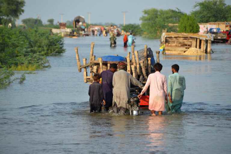 pakistan |  Worst flooding in 30 years kills over 1,060