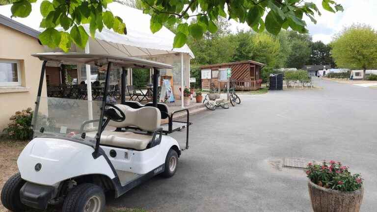 record crowds this summer in the campsites of Indre-et-Loire