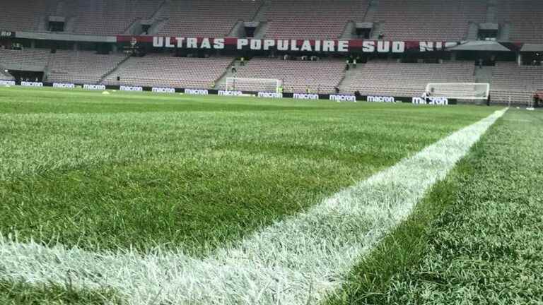 record for the number of subscriptions beaten at the Allianz Riviera