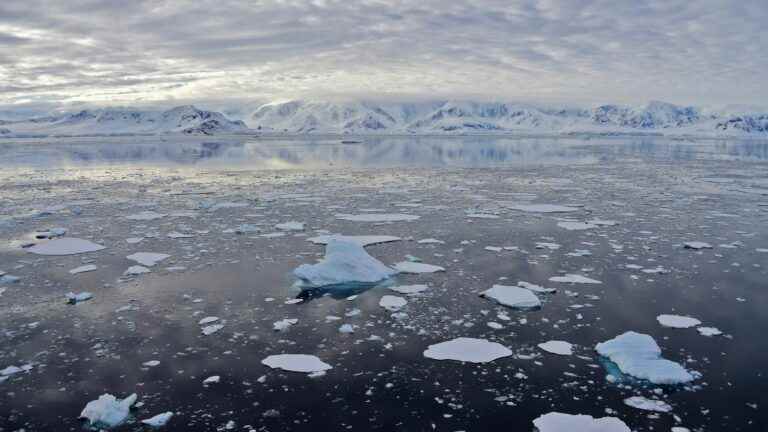 sea ​​ice in Antarctica has never been so reduced in the month of July, according to satellite surveys